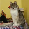 Отзыв от Катюша Бородина